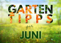 06Garten_Tipps_Vorschau_News